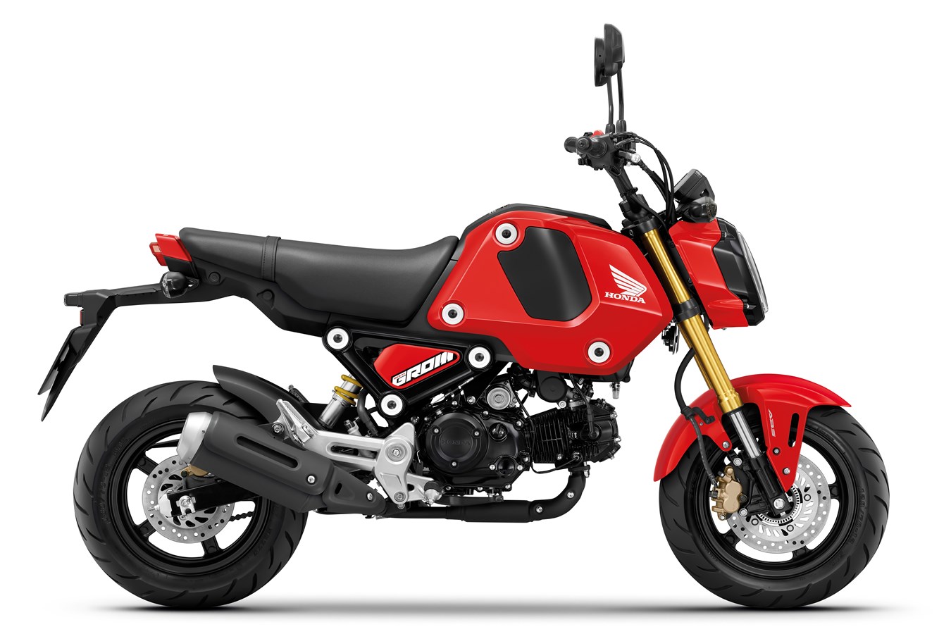 Honda MSX125 2021-2025 (5 Speed Model)