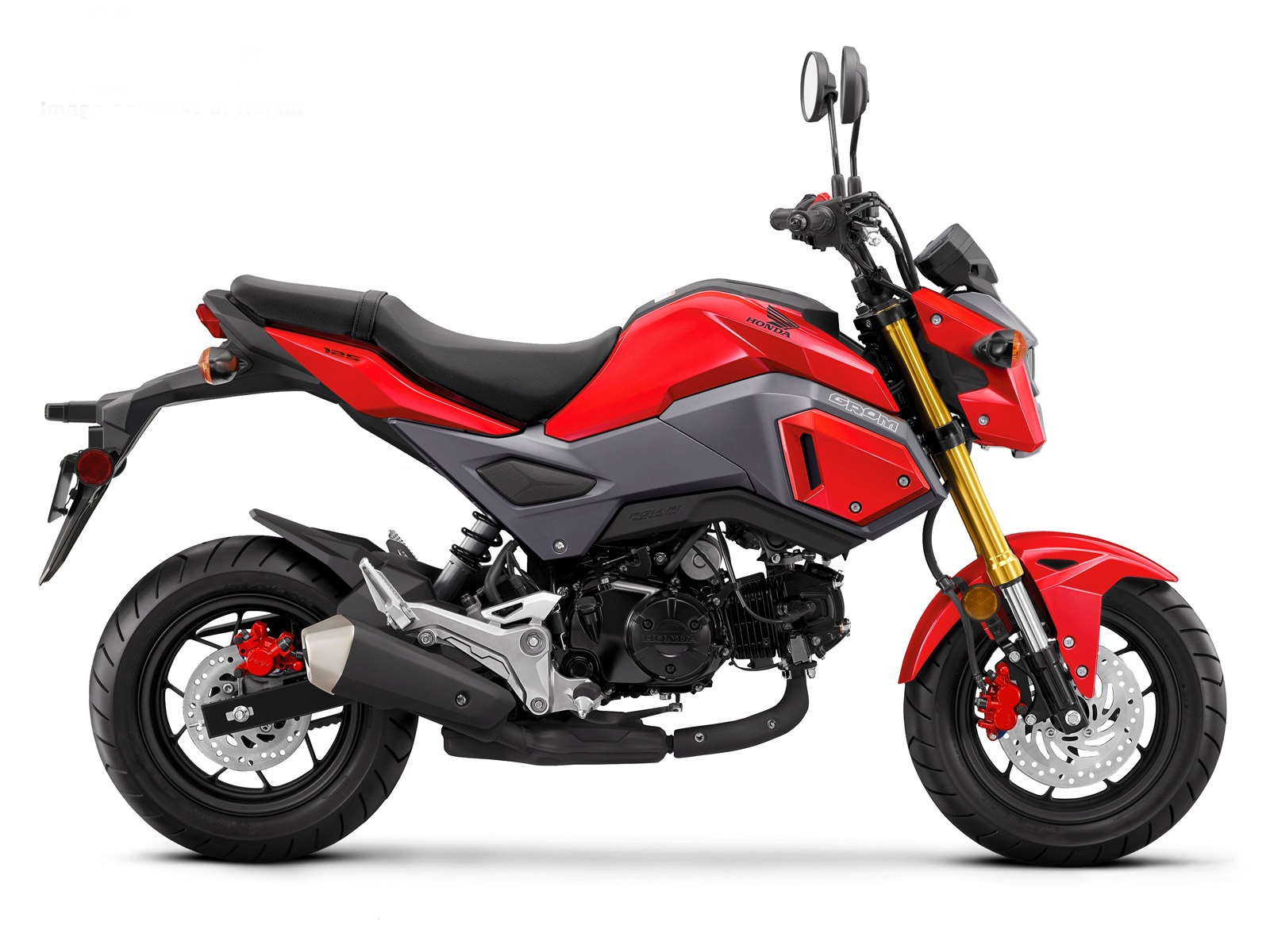 Honda MSX125 2016-2020 SF