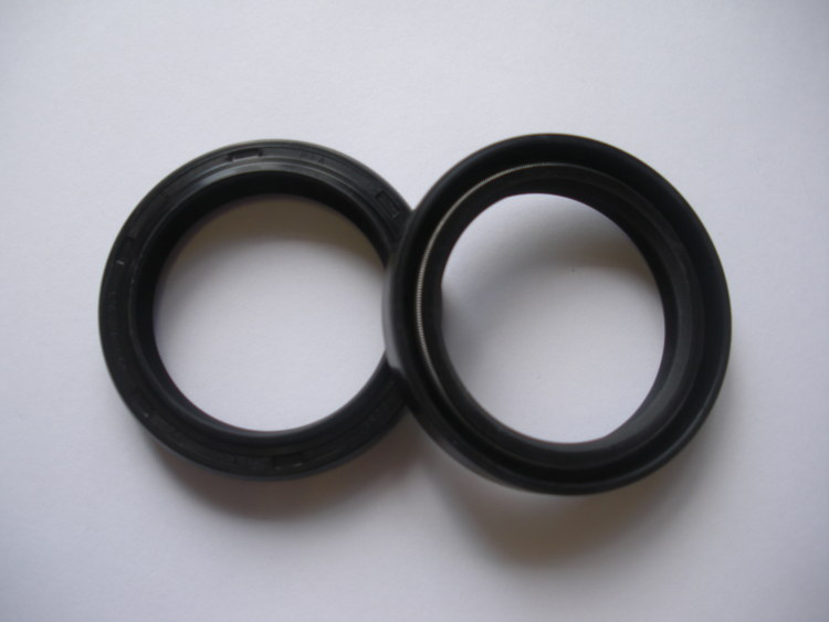 Fork Oil Seals 43-54-11 