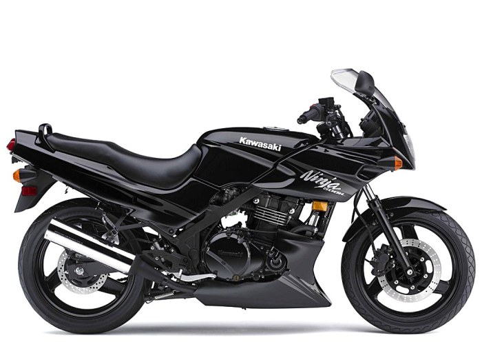 Jack Up Kit for Kawasaki  Ninja GPZ500S - EX 500 Jack Up Kit 94-07 