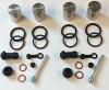 Front Brake Caliper Seal Rebuild Kit & Stainless Pistons x 4 Suzuki GSF600 95-99 Bandit